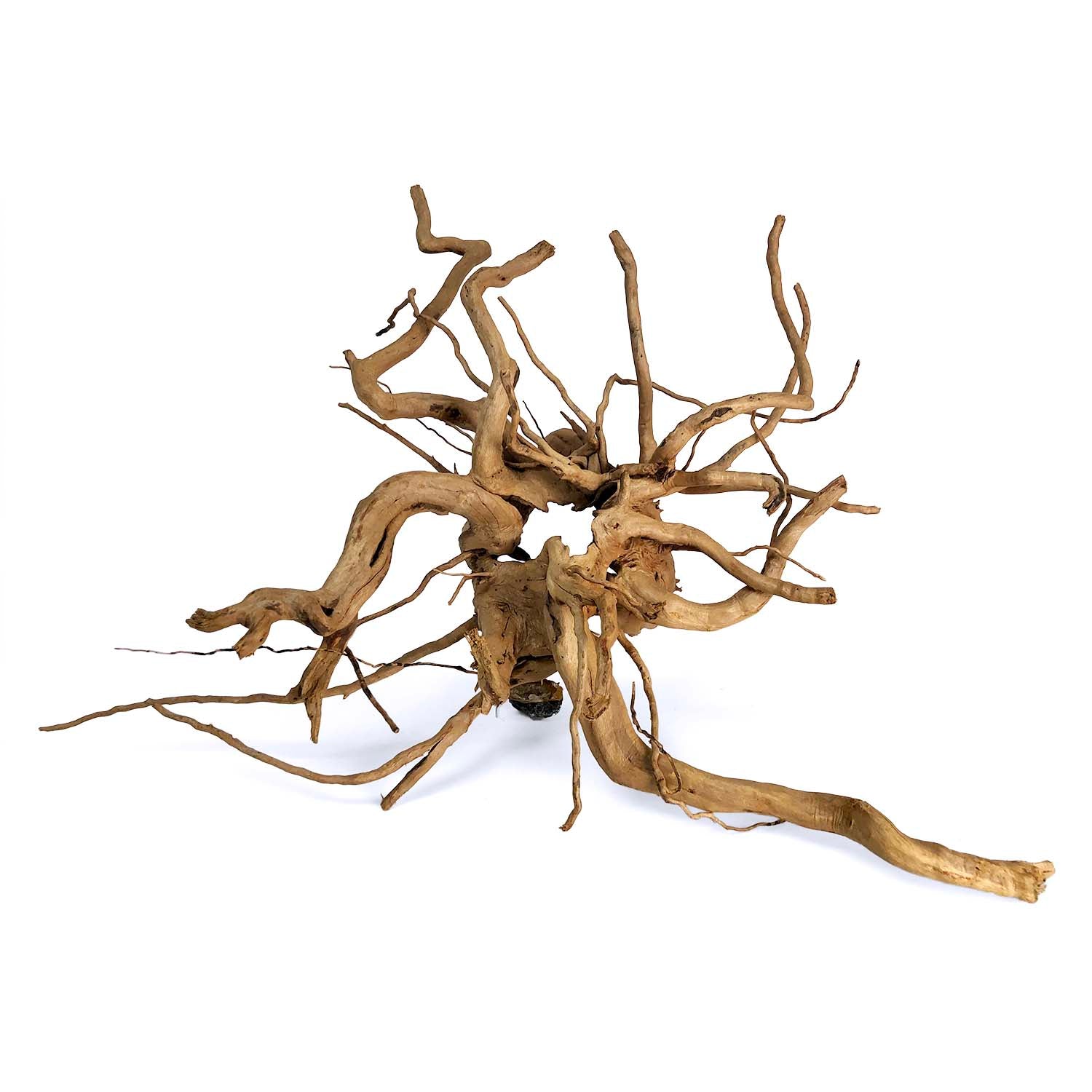 Spider Wood Large